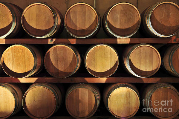 Barrels Poster featuring the photograph Wine barrels 9 by Elena Elisseeva