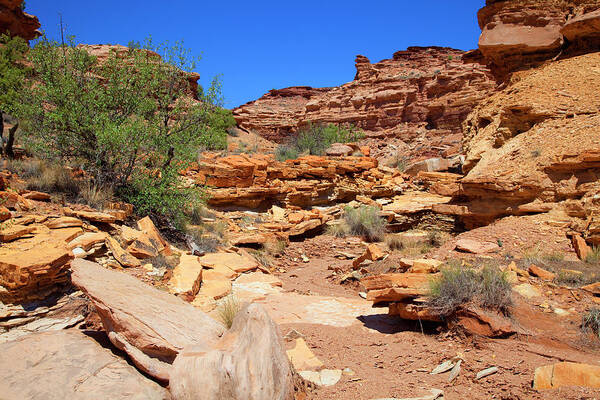 Southern Utah Poster featuring the photograph San Rafael Swell #121 by Southern Utah Photography