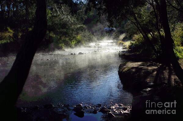 Queensland Poster featuring the photograph River Mist Series #2 by Blair Stuart