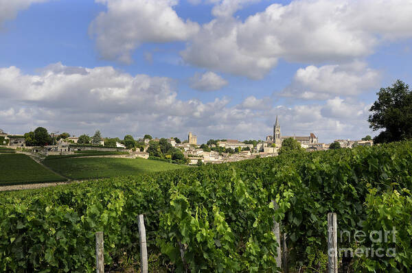 Winegrowing Poster featuring the photograph Village and vineyard of Saint-Emilion. Gironde. France #2 by Bernard Jaubert