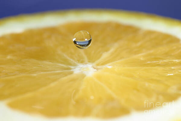Water Poster featuring the photograph Drip Over An Orange #3 by Ted Kinsman