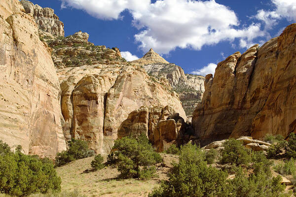 Capitol Reef National Park Poster featuring the photograph Capitol Reef National Park #399 by Mark Smith
