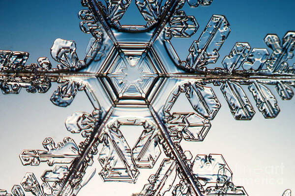 Snowflake Poster featuring the photograph Snowflake #75 by Ted Kinsman