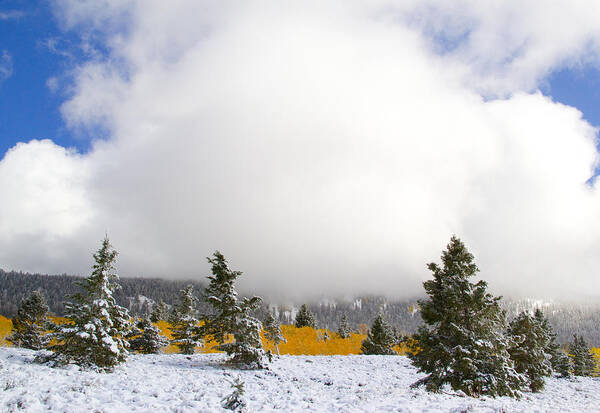 Autumn Photographs Poster featuring the photograph Rocky Mountain Fall #86 by Mark Smith