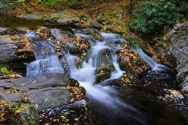 Cascading Water Poster featuring the photograph A Beautiful Cascade in Great Smoky Mountains by Darrell Young