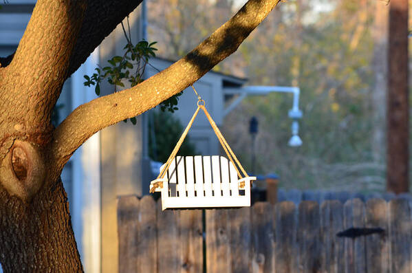 Perch Poster featuring the photograph A Place to Perch by Nikki Marie Smith