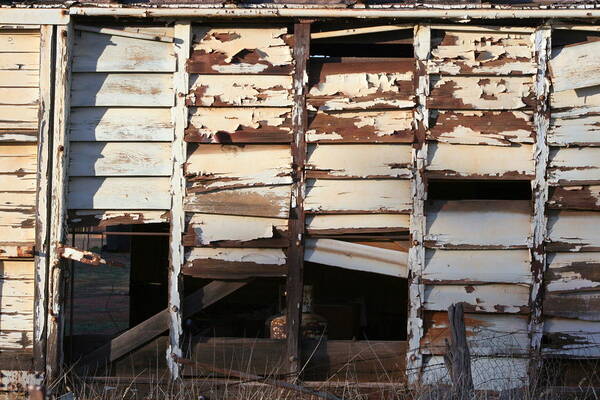 Landscape Poster featuring the photograph Abandoned 3 by Jan Lawnikanis