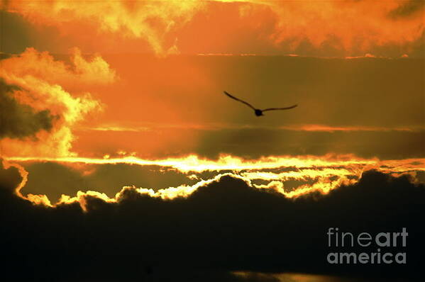 Sunset Greeting Card Poster featuring the photograph Above the Clouds by Johanne Peale