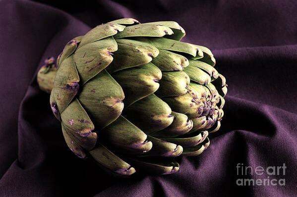 Food Poster featuring the photograph Artichoke by HD Connelly