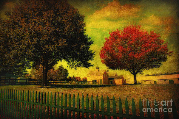 Cape Cod Poster featuring the photograph Autumn at the Farm by Gina Cormier