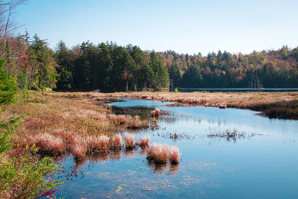 The Adirondacks Poster featuring the photograph Adirondack Lake 2 by David Patterson