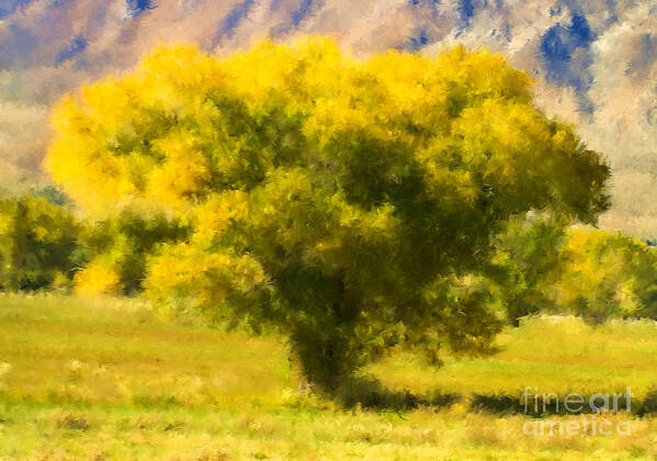 Cottonwood Poster featuring the digital art Autumn Cottonwood by L J Oakes