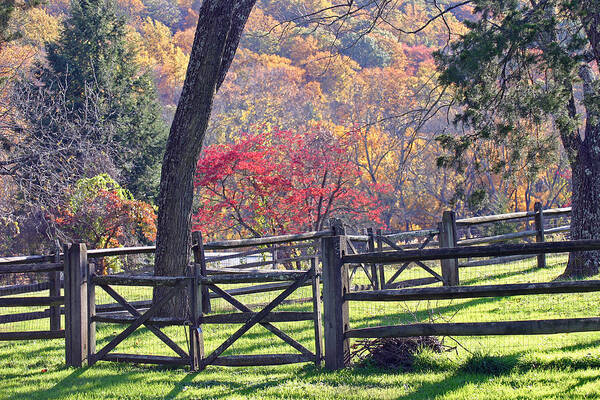 Autumn Poster featuring the photograph Autumn Fences by David Rucker