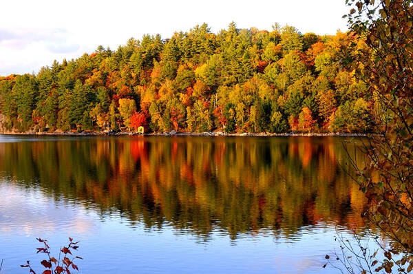 Lake Poster featuring the photograph Autumn in Cottage Country by Douglas Pike