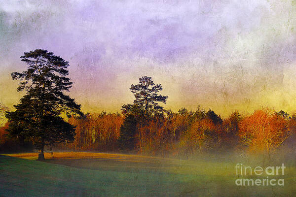 Mist Poster featuring the photograph Autumn Morning Mist by Judi Bagwell