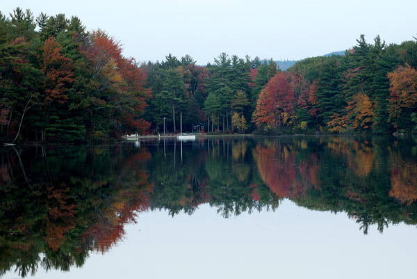 Lake Poster featuring the photograph Autumn on the Lake by Lois Lepisto