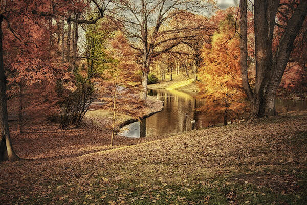 Autumn Poster featuring the photograph Awesome Autumn by Mary Timman