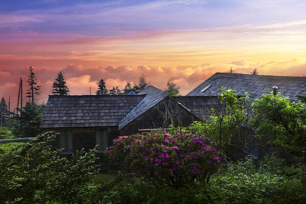 American Poster featuring the photograph Azaleas at Sunrise by Debra and Dave Vanderlaan