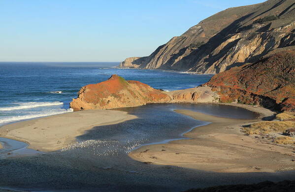 Seagulls Poster featuring the photograph Big Sur by Scott Rackers