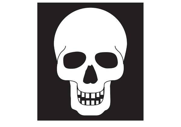 Horizontal Poster featuring the digital art Black And White Digital Illustration Representing Human Skull by Dorling Kindersley
