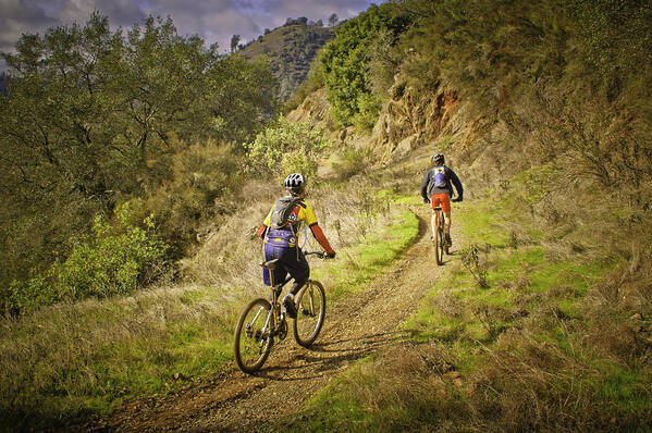 Mountain Biking Poster featuring the photograph Blazing The Trail by Sherri Meyer