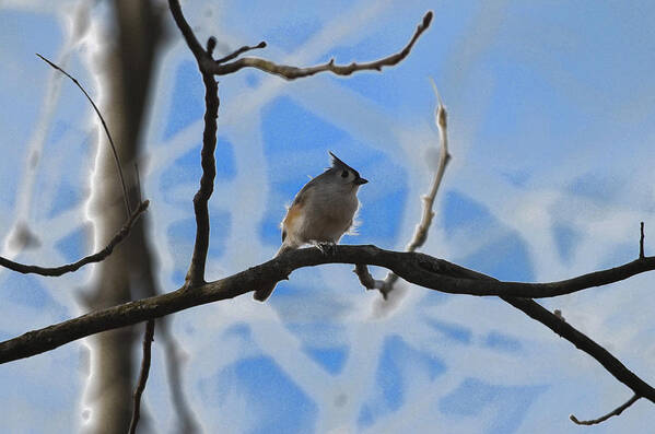 Nature Poster featuring the photograph Blurred Branches by Brian Stevens