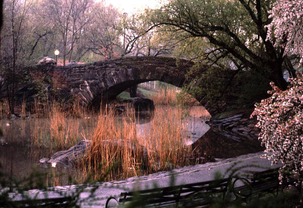 Evocative Poster featuring the photograph Bow Bridge The Pond Central Park by Tom Wurl