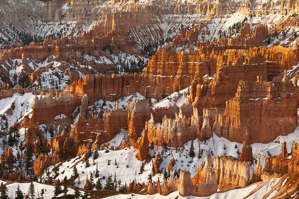 Bryce Canyon Poster featuring the photograph Bryce Canyon morning light by Greg Wyatt