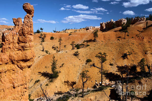 Bryce Canyon National Park Poster featuring the photograph Bryce Guardians by Adam Jewell