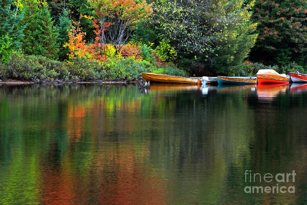 Algonquin Poster featuring the photograph Canoe Lake by Charline Xia