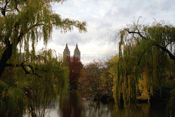 New York City Poster featuring the photograph Central Park Autumn by Lorraine Devon Wilke