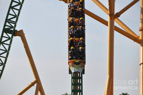 Cheetah Poster featuring the photograph Cheetah Hunt Coaster by John Black