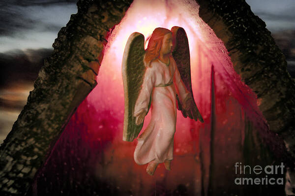 Angel Poster featuring the photograph Christmas Angel by David Arment