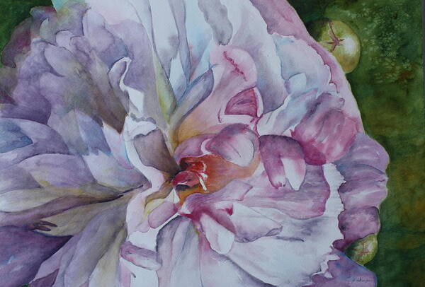 Close Up Floral Poster featuring the painting Close Focus Peony by Patsy Sharpe