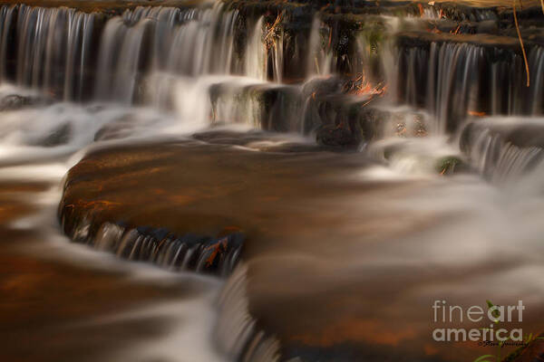 Waterfall Poster featuring the photograph Collins Creek by Steve Javorsky
