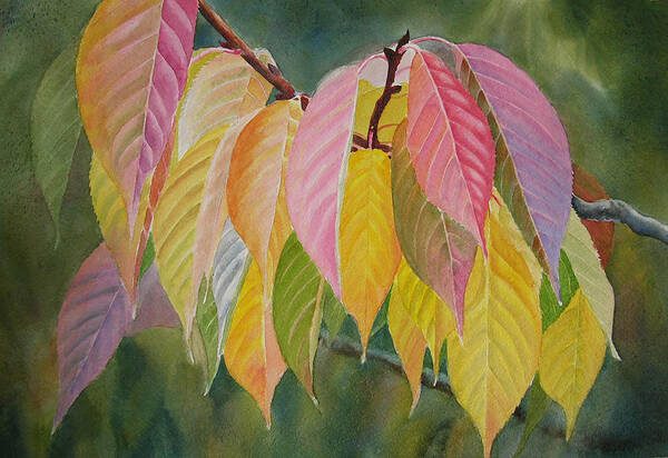 Leaves Poster featuring the painting Colorful Fall Leaves by Sharon Freeman