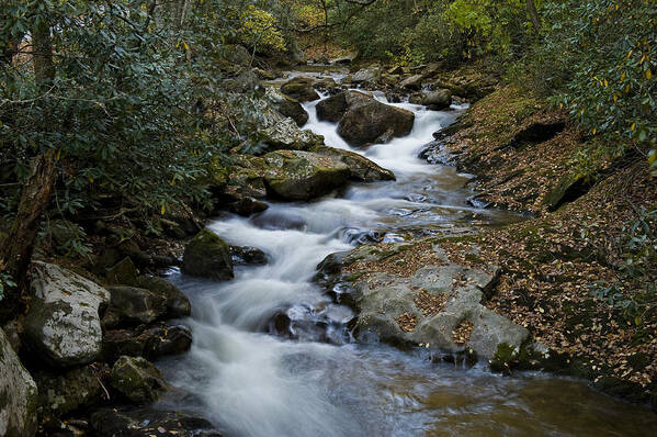 Water Poster featuring the photograph Courthouse Creek by Rick Hartigan
