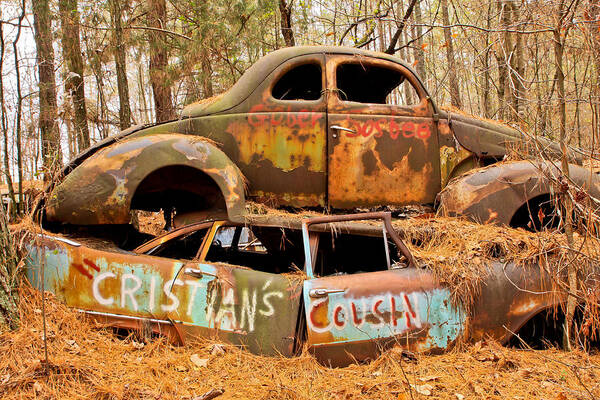 Junk Yard Poster featuring the photograph Cristian's Cousin by Tom and Pat Cory