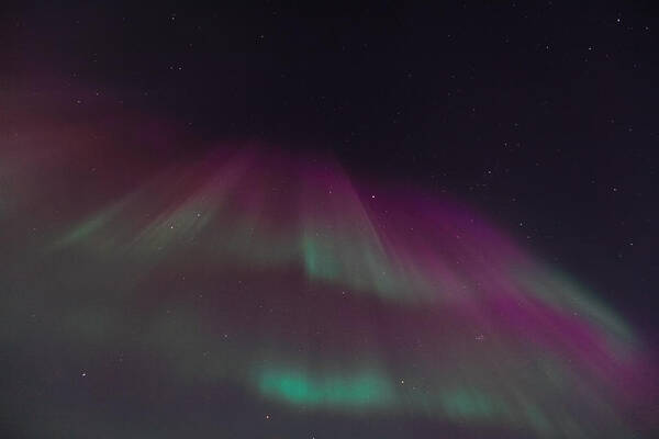 Sam Amato Poster featuring the photograph Curtain of Northern Lights by Sam Amato