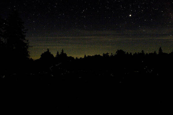 Maine Poster featuring the photograph Dancing Fireflies by Brent L Ander