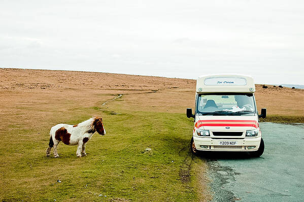 Dartmoor Poster featuring the photograph Dartmoor Pony fancies an ice cream by Simon Clare