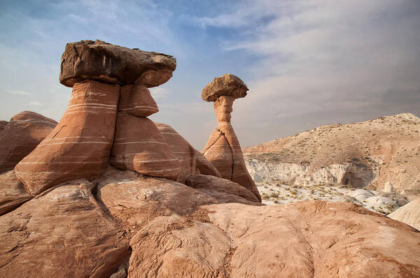 Desert Poster featuring the photograph Desert Toadstool Hoodoos by Mike Irwin
