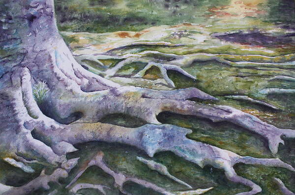 Tree Roots Poster featuring the painting Dunbar Cave Roots by Patsy Sharpe