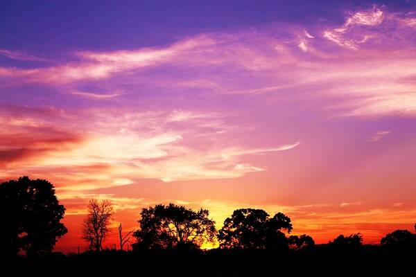 Colors Poster featuring the photograph East Texas Sunset by Lorri Crossno