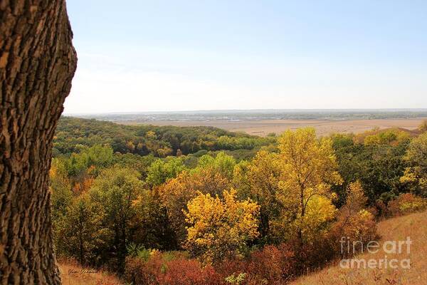 Fall Poster featuring the photograph Fall is here by Yumi Johnson