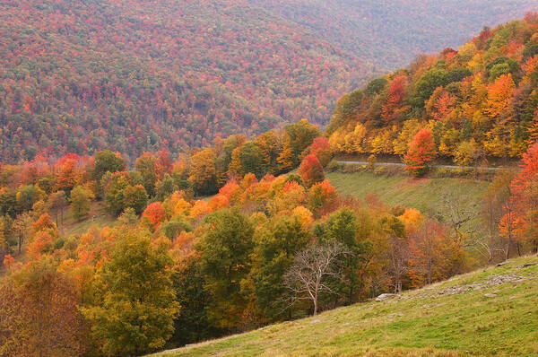 Fall Poster featuring the photograph Fall Mountain Scene 5 by John Brueske