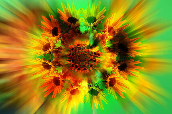 Abstract Poster featuring the photograph Flower power by Nathan Wright