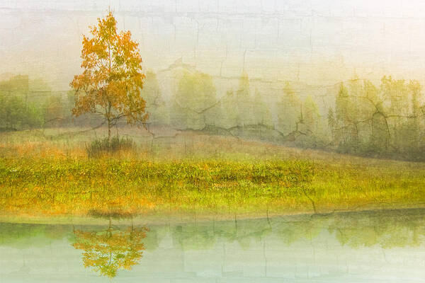 Appalachia Poster featuring the photograph Foggy Meadow by Debra and Dave Vanderlaan