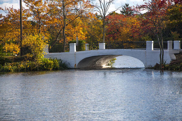 Autumn Poster featuring the photograph Foliage At The Bridge by Cathy Kovarik