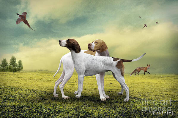 Dog Poster featuring the photograph Fox and Hounds by Ethiriel Photography